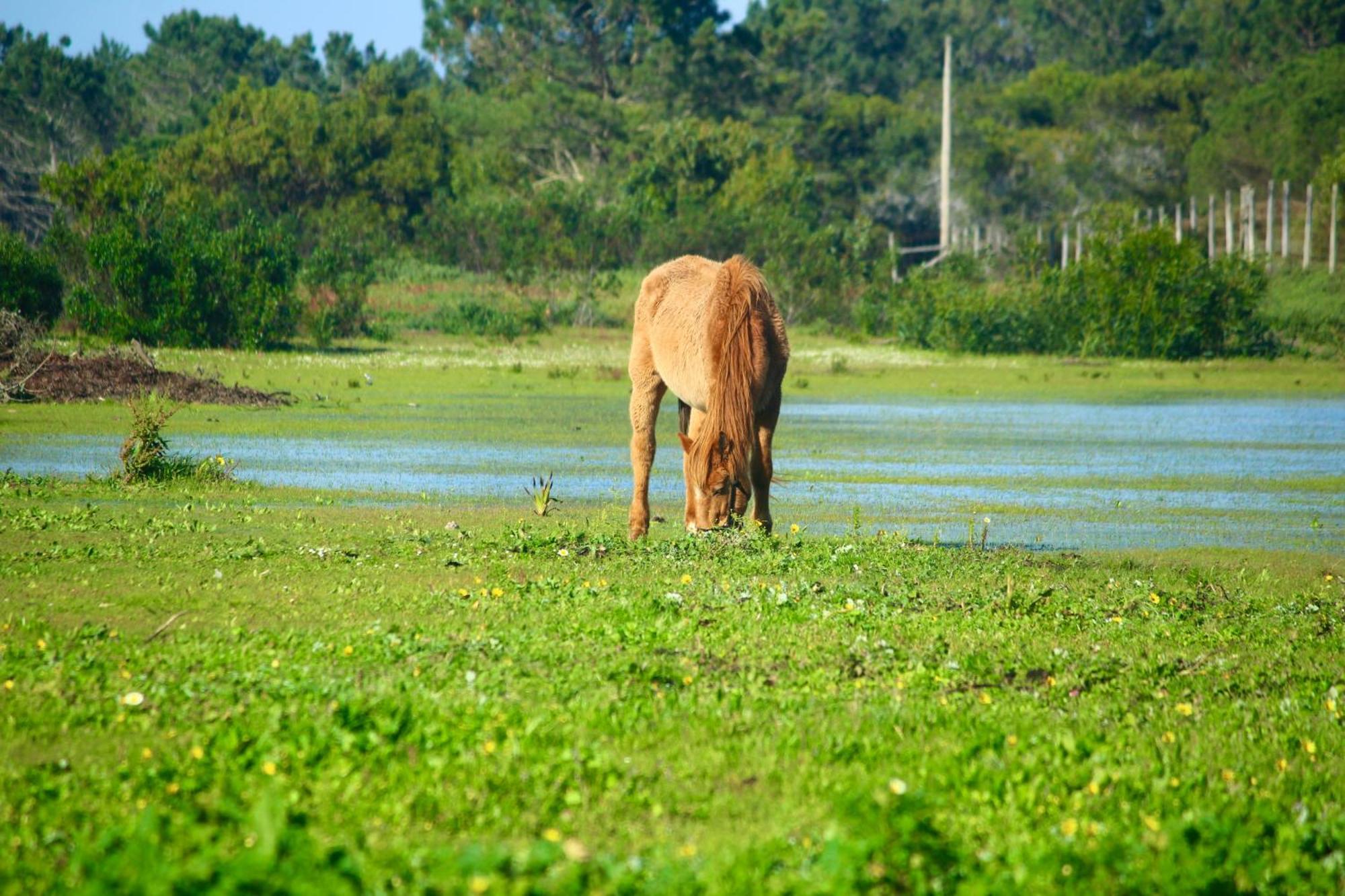 Herdade Monte Do Sol Aljezur Εξωτερικό φωτογραφία